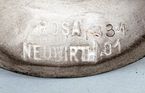 Rosa Neuwirth Küken